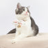 Touchcat ® Pineapple Patterned Designer Cat Collar with Bow