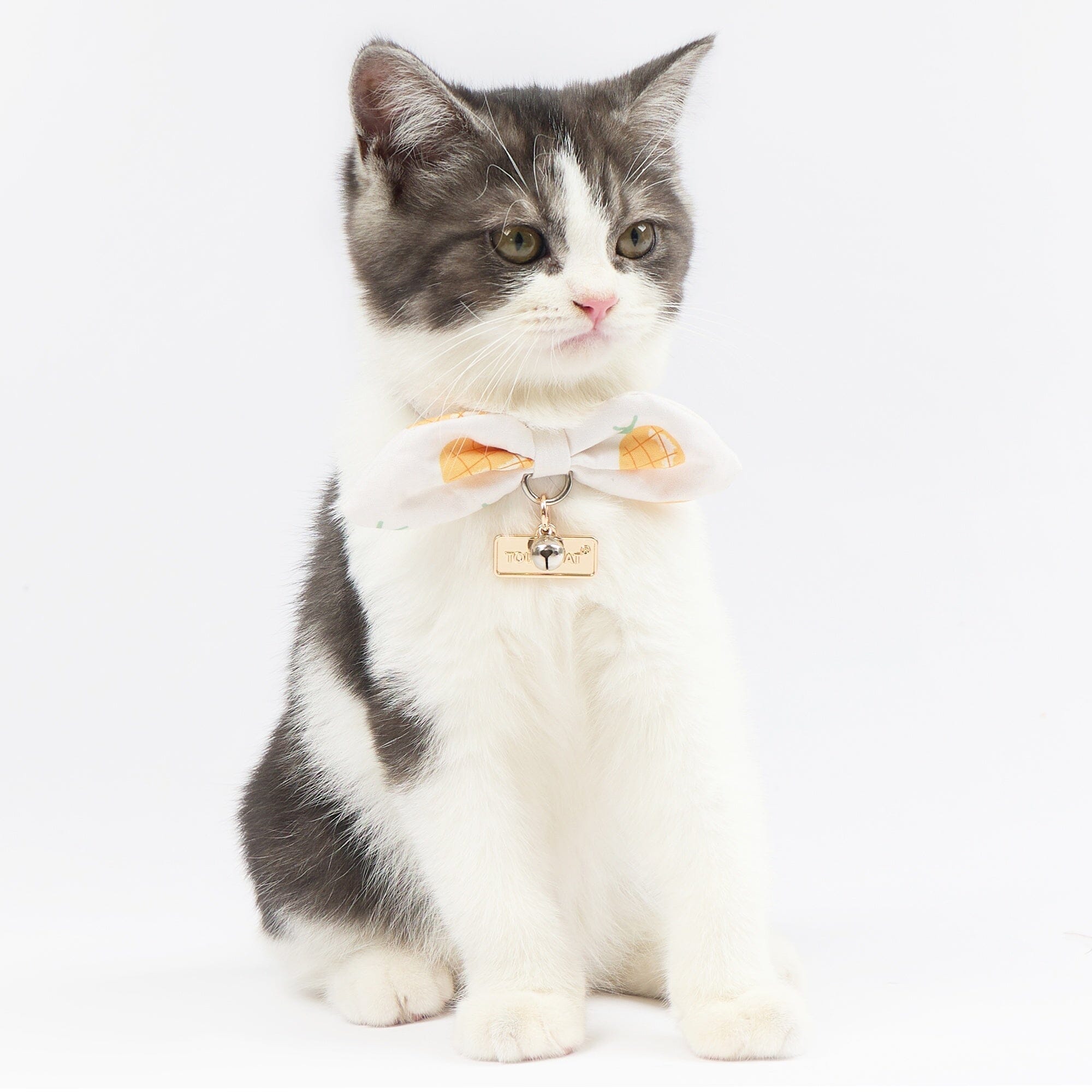 Touchcat ® Pineapple Patterned Designer Cat Collar with Bow Yellow Small