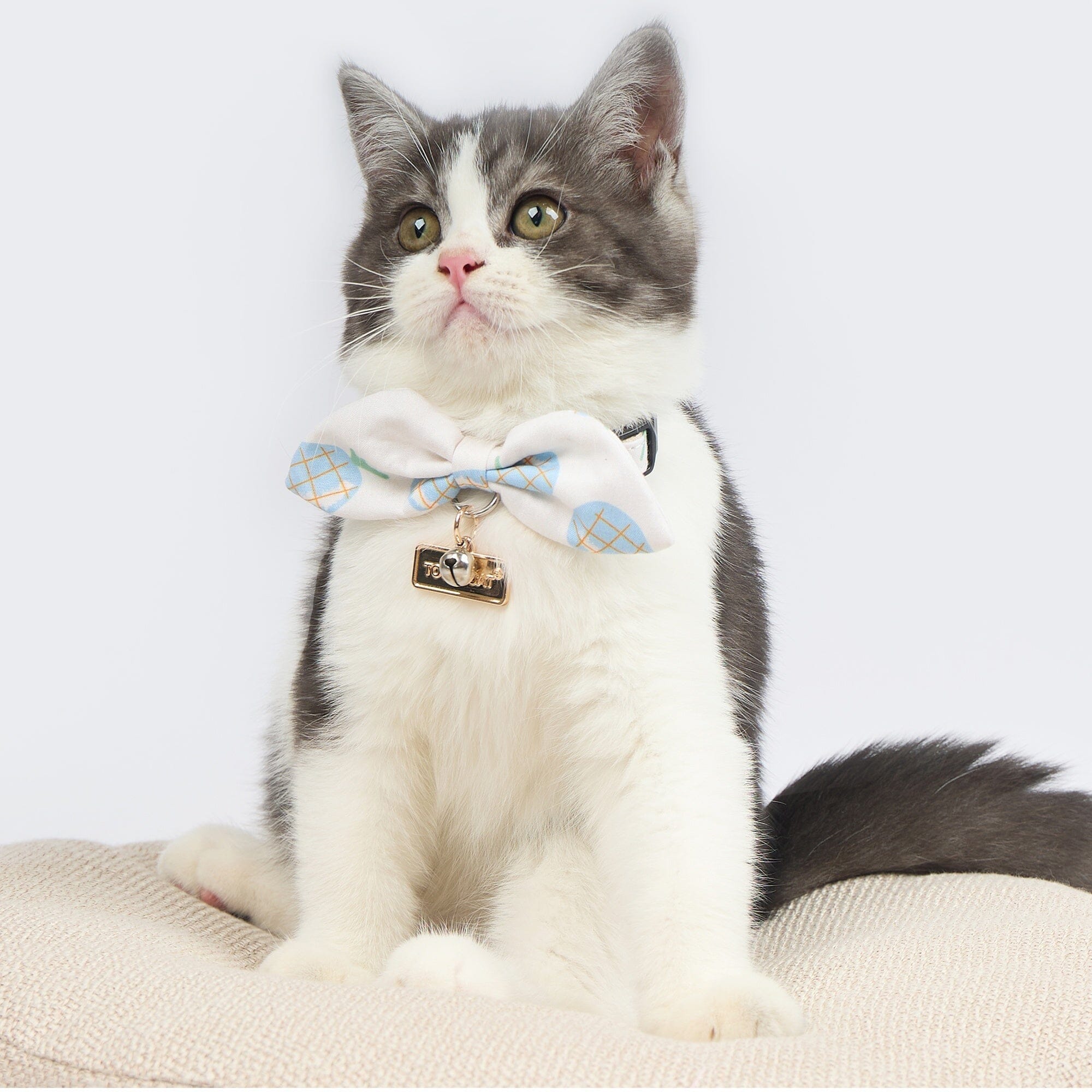 Touchcat ® Pineapple Patterned Designer Cat Collar with Bow