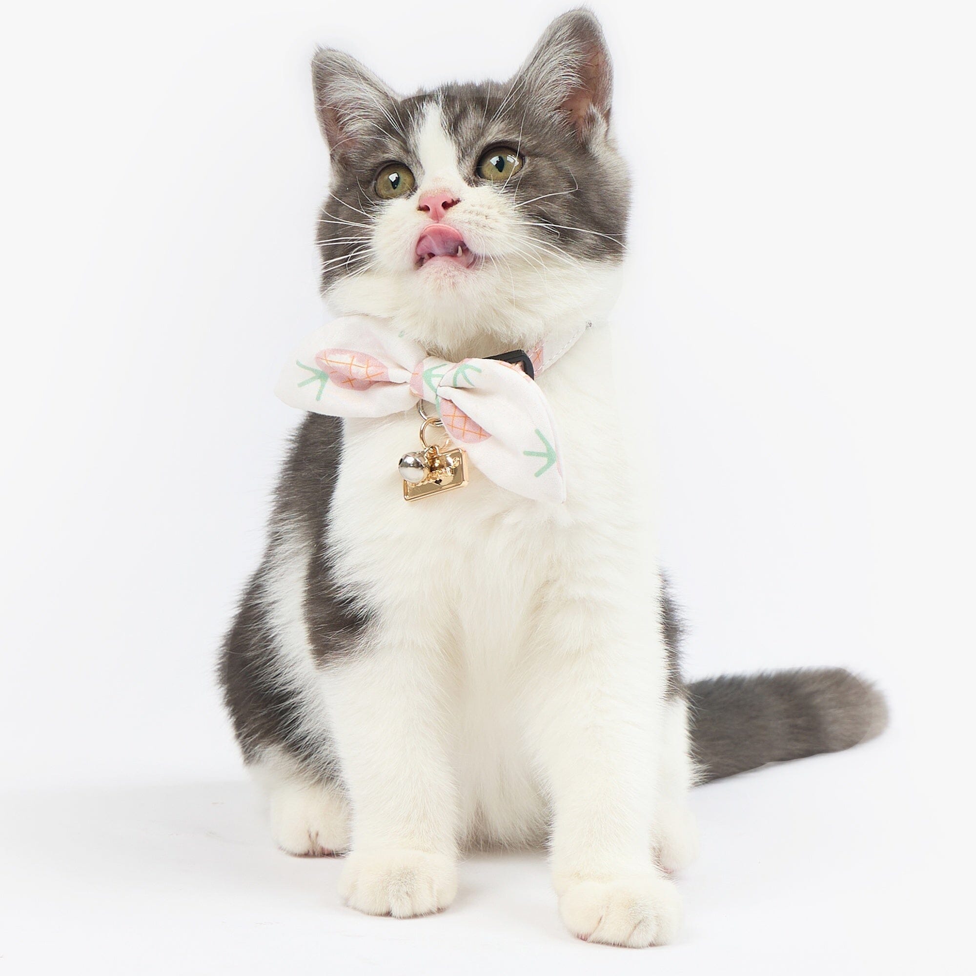 Touchcat ® Pineapple Patterned Designer Cat Collar with Bow Pink Small