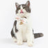 Touchcat ® Pineapple Patterned Designer Cat Collar with Bow Pink Small