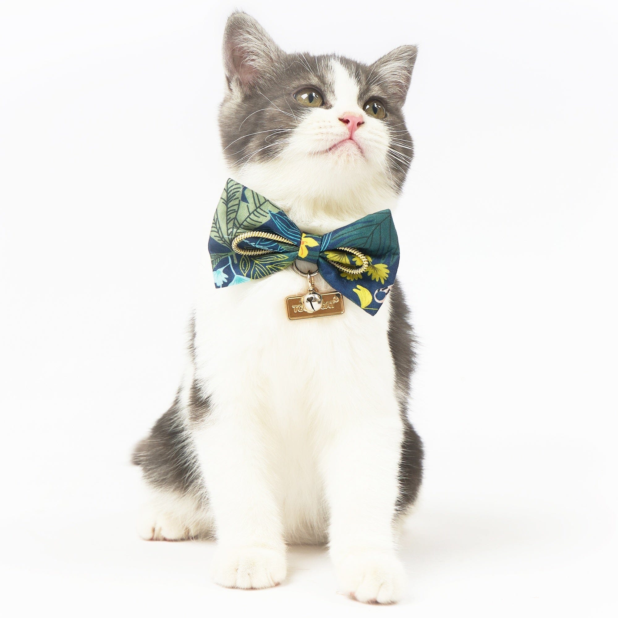 Touchcat ® Safari Patterned Designer Cat Collar with Bow Small