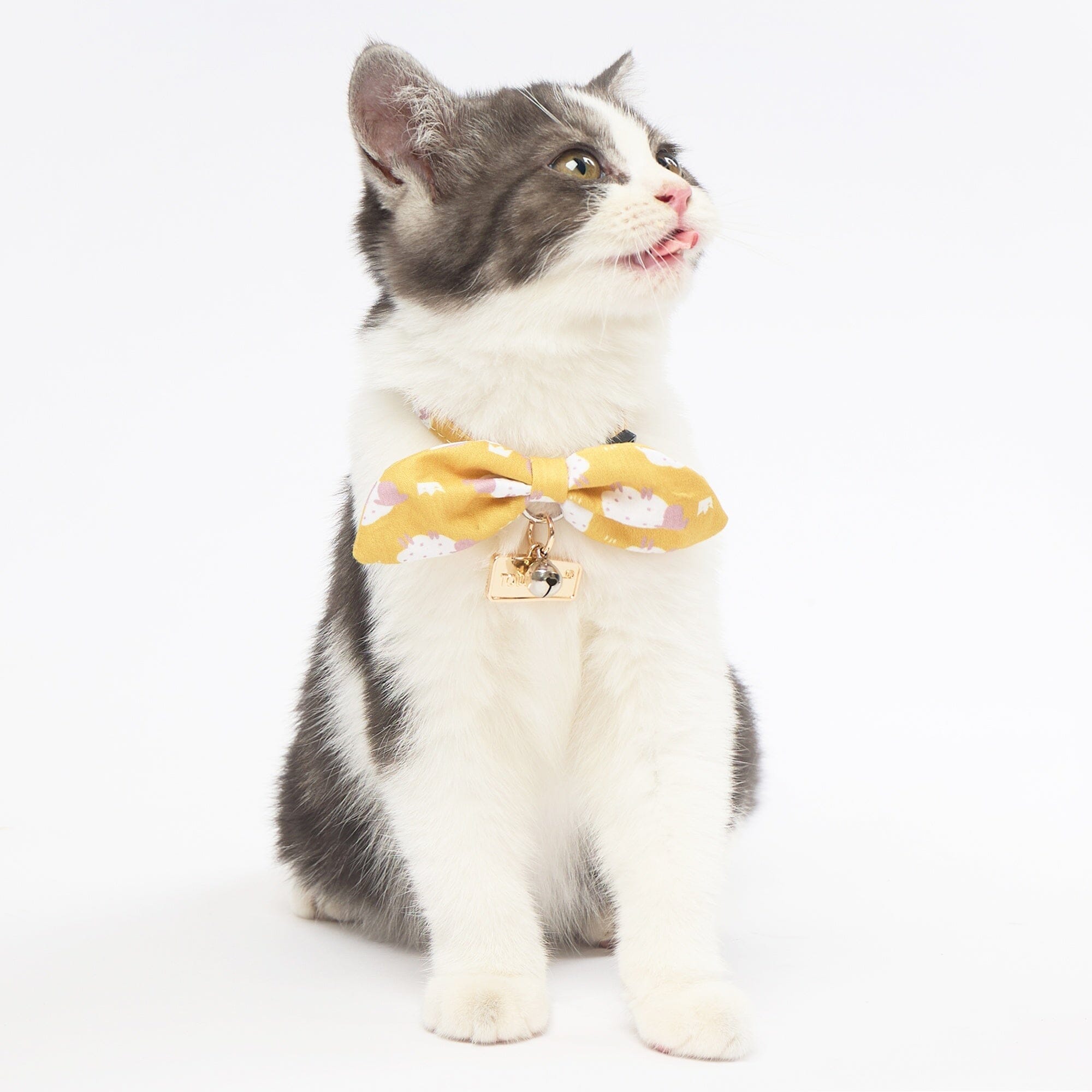 Touchcat ® Shepherd Patterned Designer Cat Collar with Bow Yellow Small