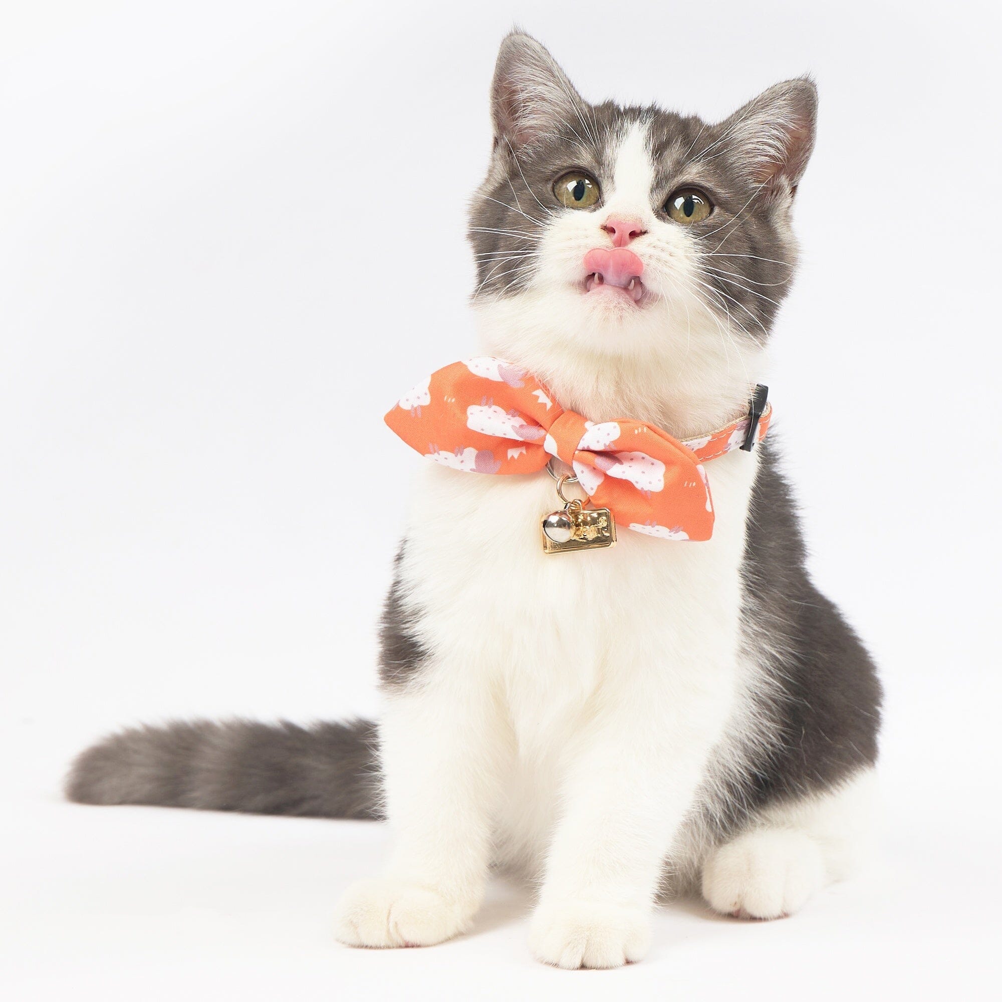 Touchcat ® Shepherd Patterned Designer Cat Collar with Bow Sunkist Orange Small