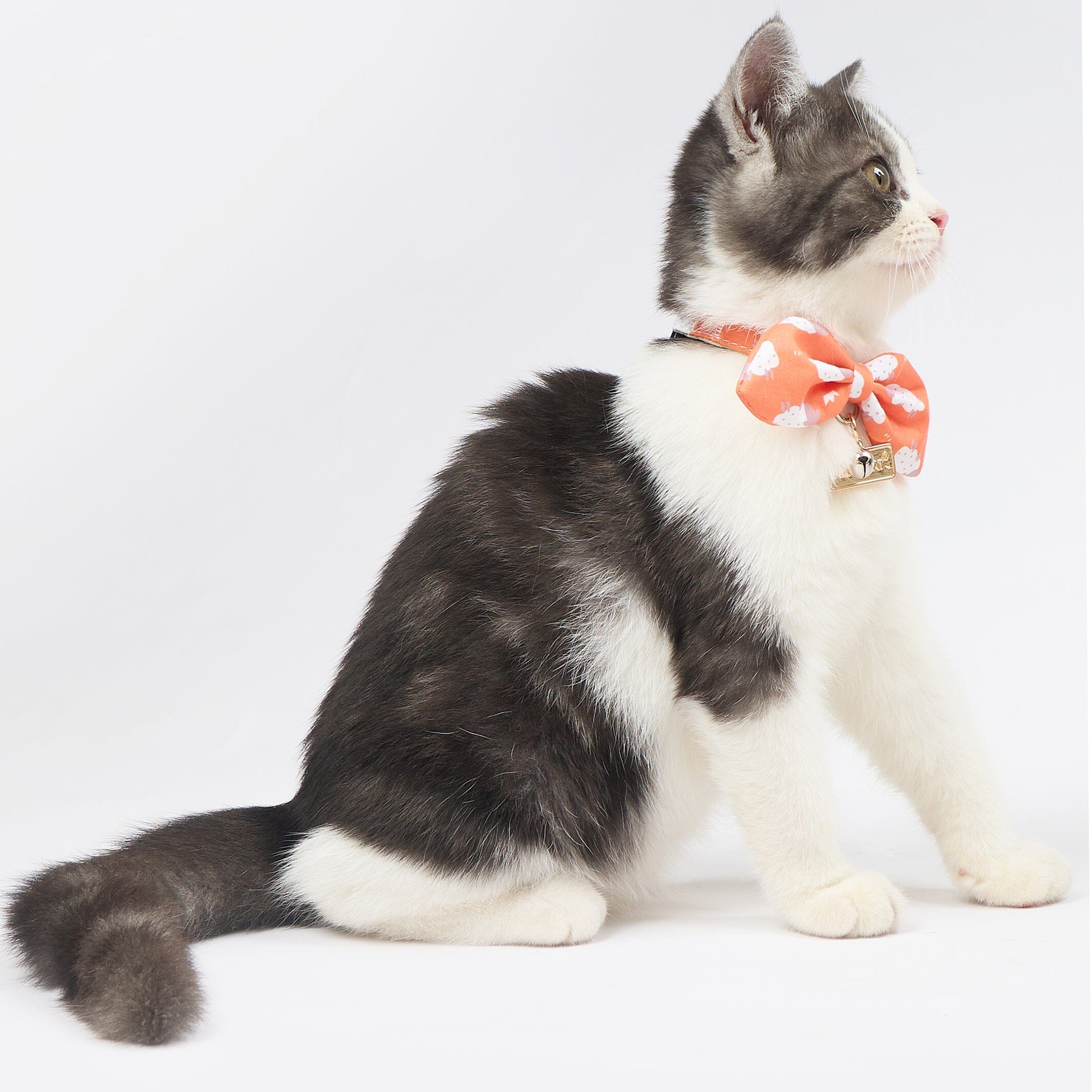 Touchcat ® Shepherd Patterned Designer Cat Collar with Bow  