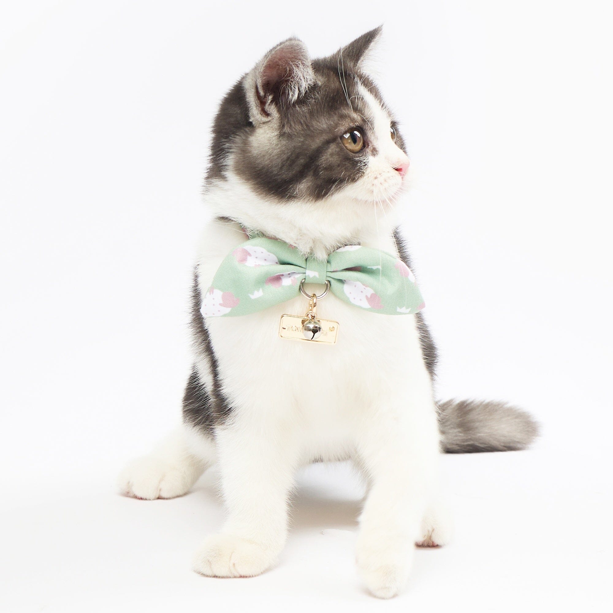 Touchcat ® Shepherd Patterned Designer Cat Collar with Bow Green Small