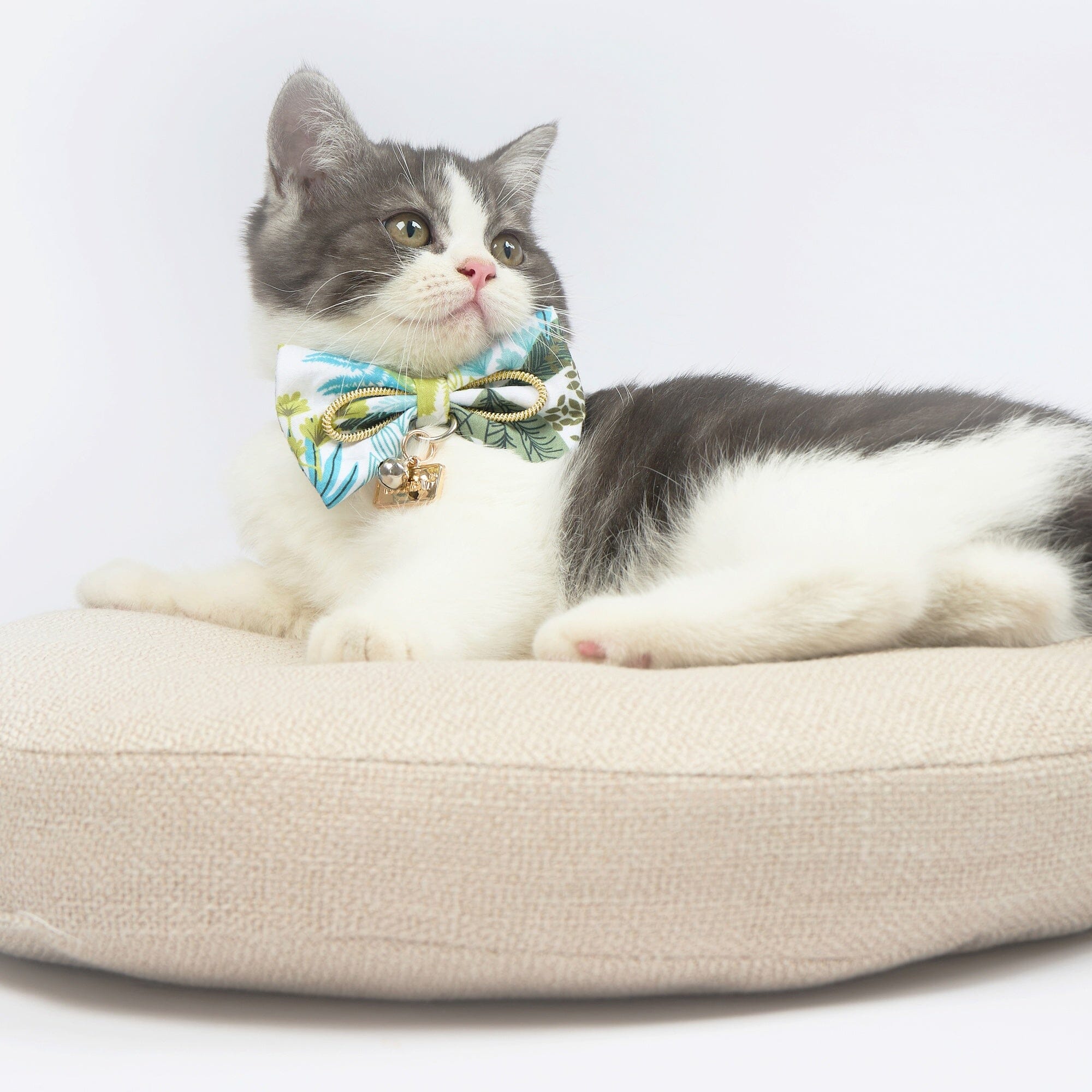 Touchcat ® Tropical Patterned Designer Cat Collar with Bow