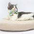 Touchcat ® Tropical Patterned Designer Cat Collar with Bow