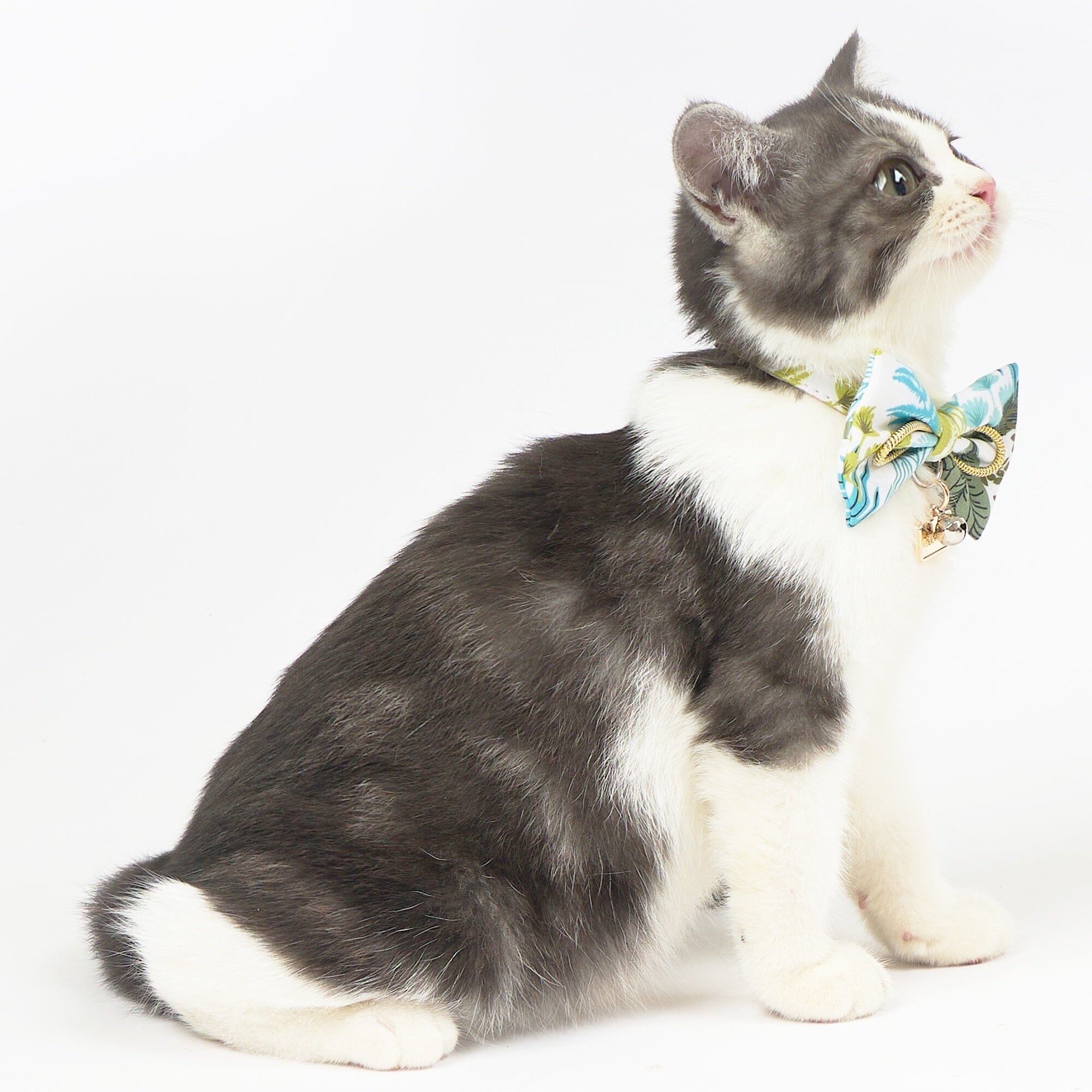 Touchcat ® Tropical Patterned Designer Cat Collar with Bow