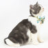 Touchcat ® Tropical Patterned Designer Cat Collar with Bow