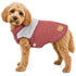 Touchdog 'Furrost-Bite' Fur and Fleece Designer Fashion Dog Jacket X-Small Red