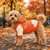 Touchdog 'Heritage' Soft-Cotton Fashion Dog Hoodie Sweater