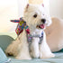 Touchdog ® Designer Patterned Large Pocketed Zippered Duffle Dog Backpack and Harness
