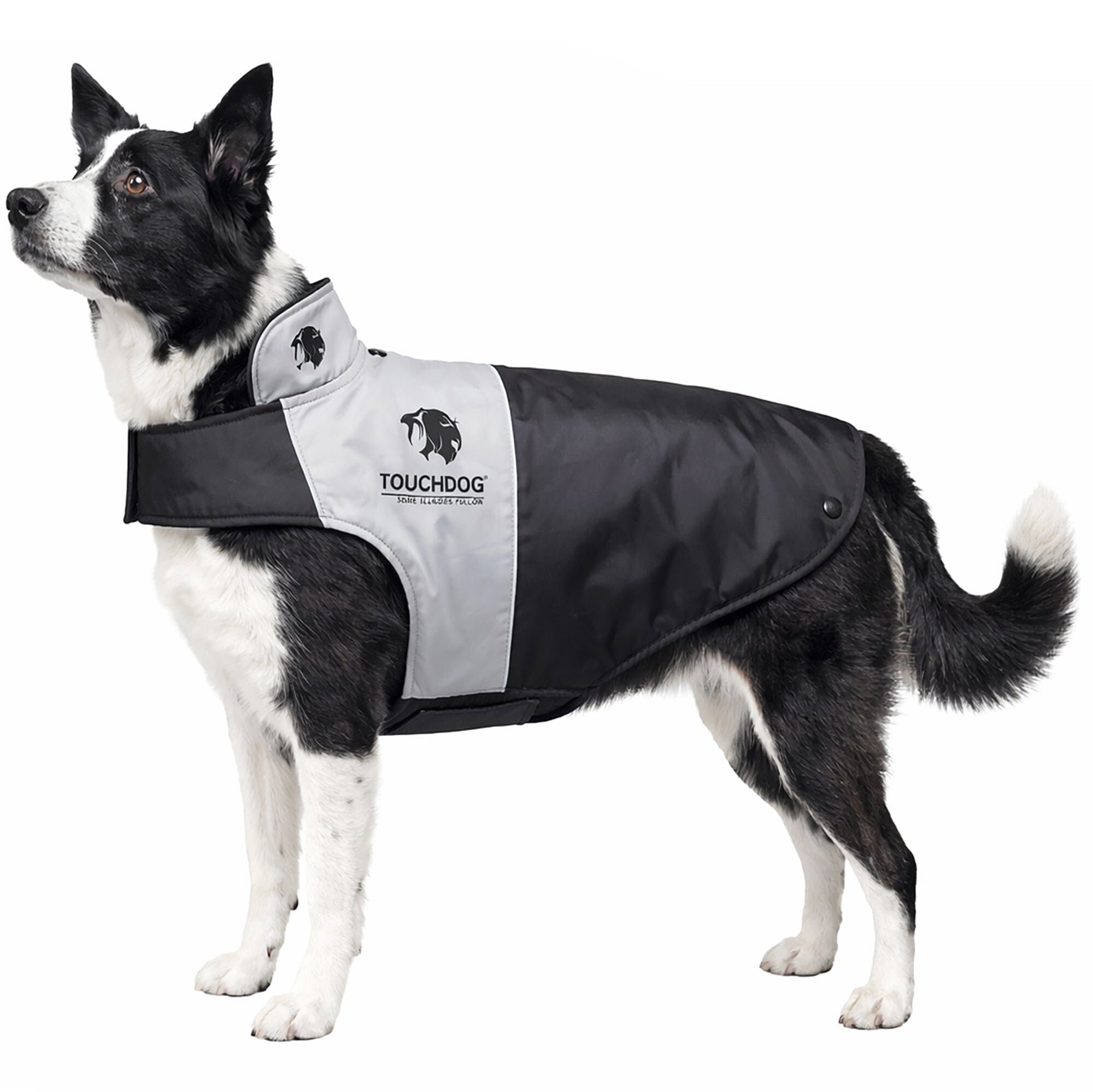 Touchdog ® Lightening-Shield 2-in-1 Dual-Removable-Layered Waterproof Dog Jacket X-Small Black, Grey