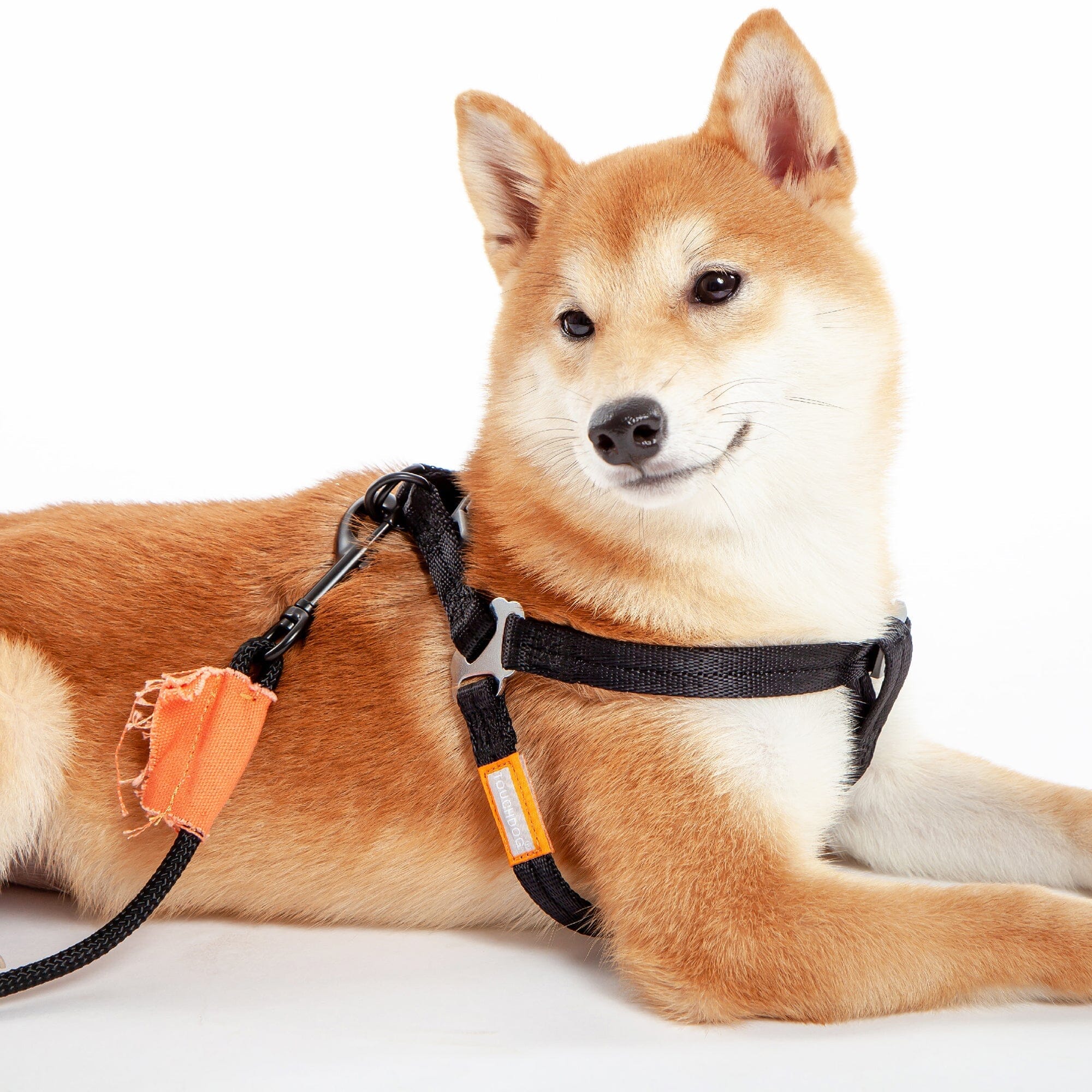 Touchdog ® 'Macaron' 2-in-1 Durable Nylon Dog Harness and Leash
