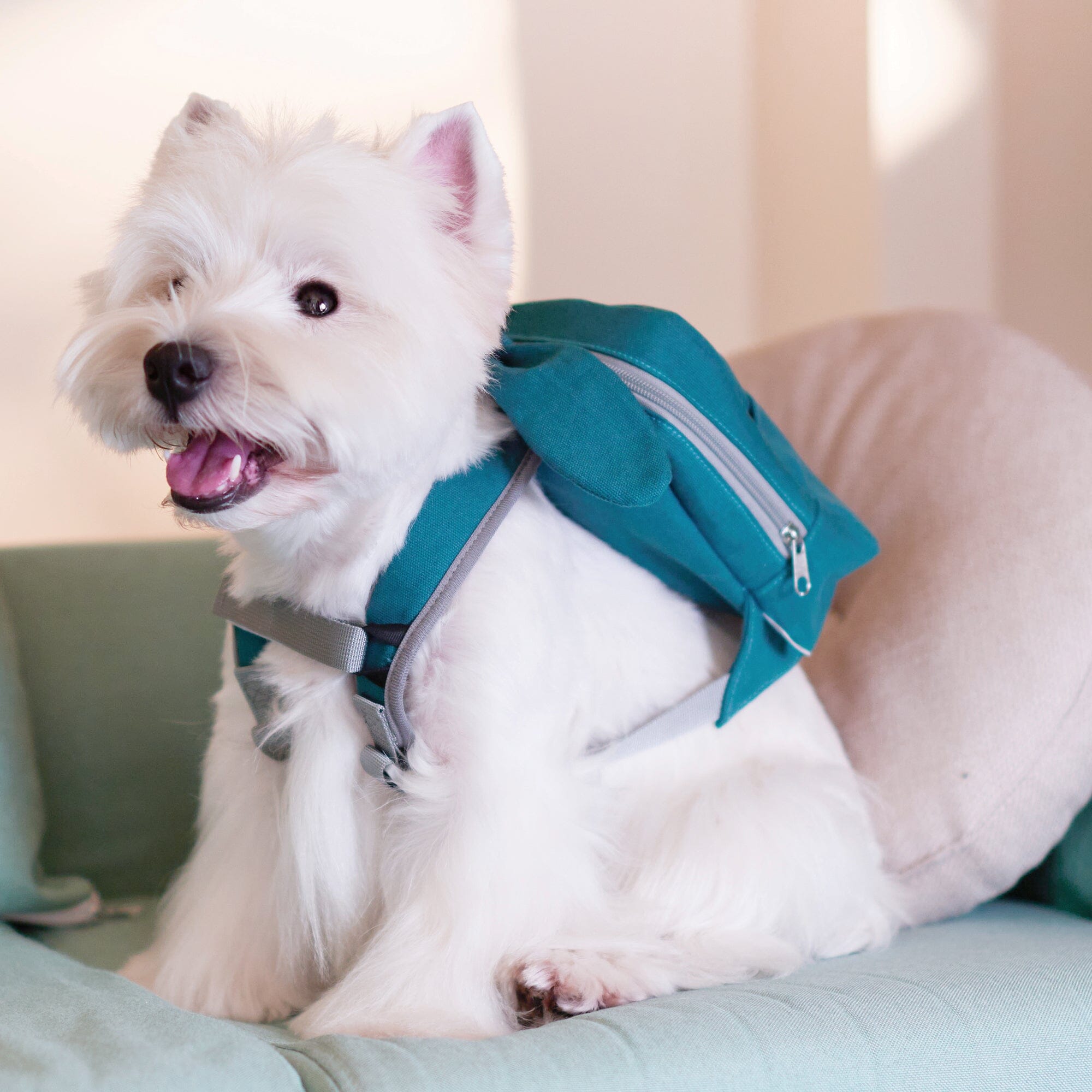 Touchdog ® Navy Large-Pocketed Zippered Duffle Dog Backpack and Harness