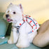 Touchdog ® Polka Dot Large Pocketed Zippered Duffle Dog Backpack and Harness