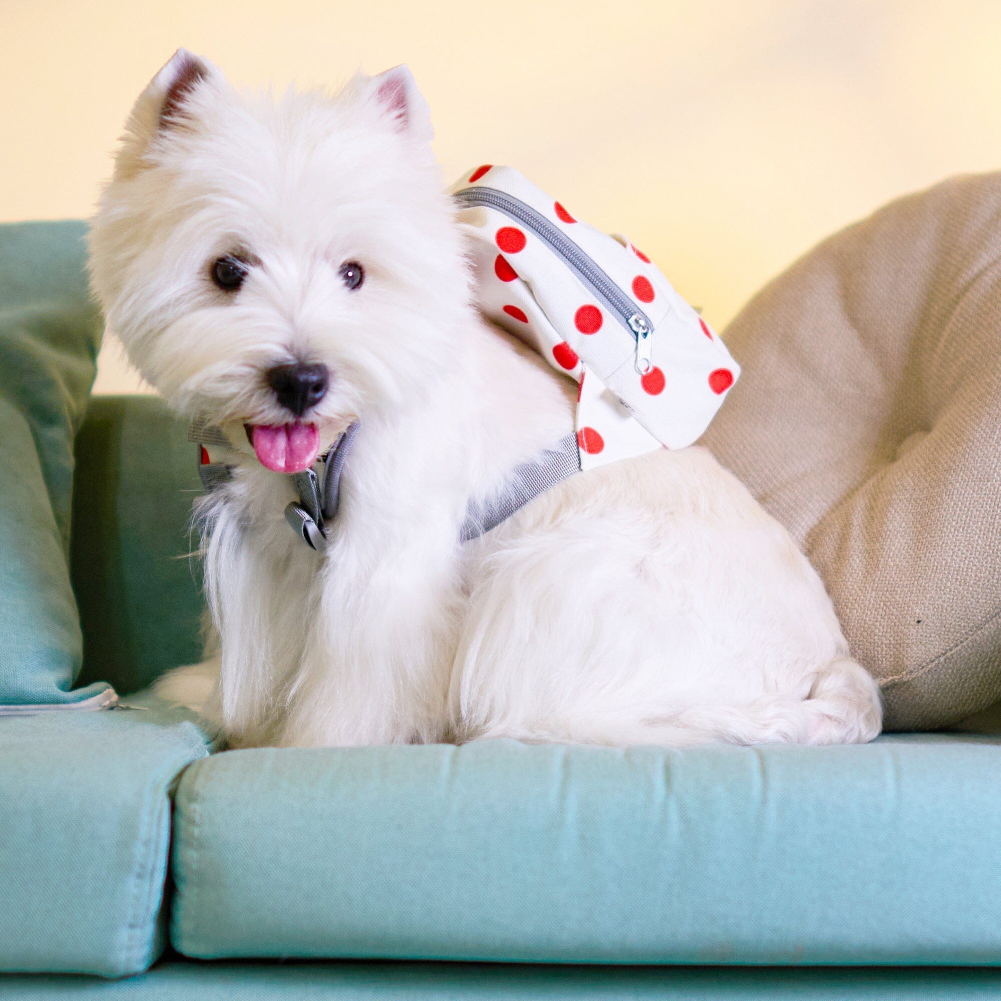 Touchdog ® Polka Dot Large Pocketed Zippered Duffle Dog Backpack and Harness