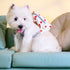 Touchdog ® Polka Dot Large Pocketed Zippered Duffle Dog Backpack and Harness