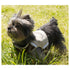 Touchdog ® 'Tough-Boutique' 2-in-1 Adjustable Fashion Dog Harness and Leash