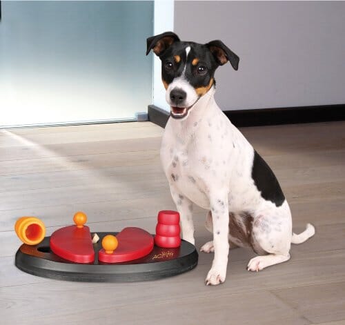 Trixie Pet Products Push-Away Level-2 Strategy Puzzle Feeding Interactive Dog Toy 