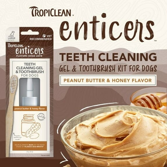 Tropiclean Enticers Peanut Butter and Honey Flavor Oral Dog Teeth Cleaning Gel and Toothbrush - For Large Dogs - 2 Oz