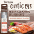 Tropiclean Enticers Seafood Medley Flavor Dental Oral Cat Teeth Cleaning Gel - 2 Oz