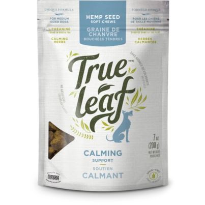 True Leaf Calming Support Hemp Seed Dog Chews - 7 Oz