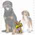 Tuffy Junior Bone Reinforced Durable Squeak Fetch and Floating Plush Dog Toy - Yellow 