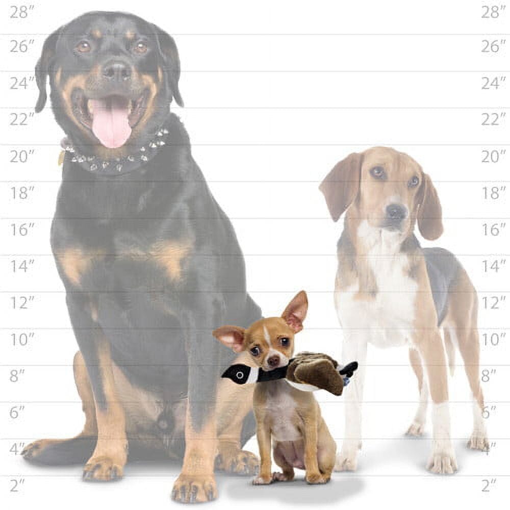 Tuffy Junior Mighty Nature Junior Duck Durable Squeak and Floating Plush Dog Toy