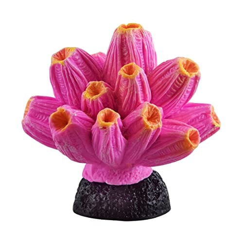 Underwater Treasures Barnacle - Pink/Yellow  
