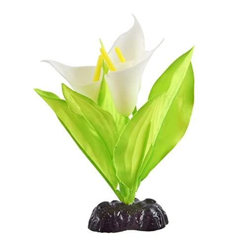 Underwater Treasures Glow Broadleaf Lily  