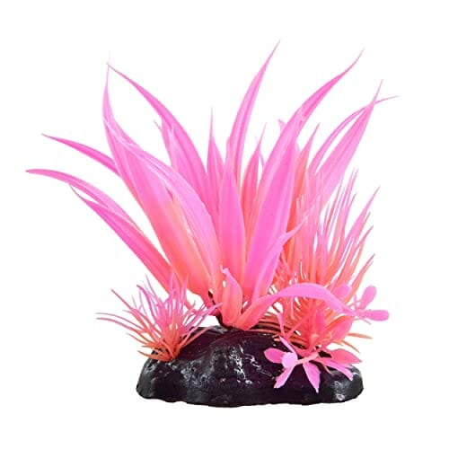 Underwater Treasures Glow Star Plant - Pink  