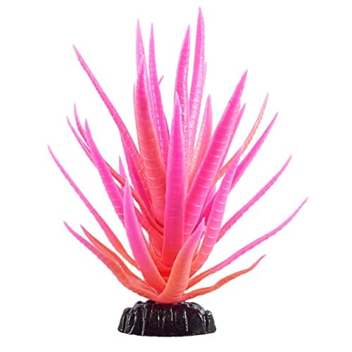 Underwater Treasures Glow Yucca - Pink - Medium  