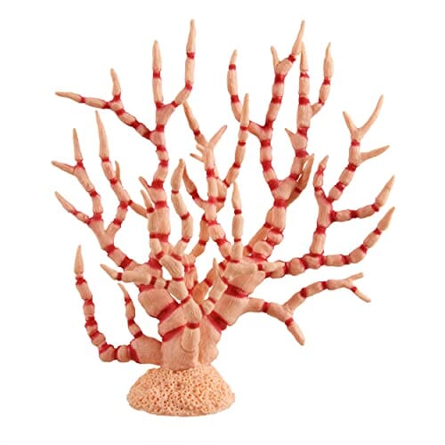Underwater Treasures Gorgonian - Orange Crème  
