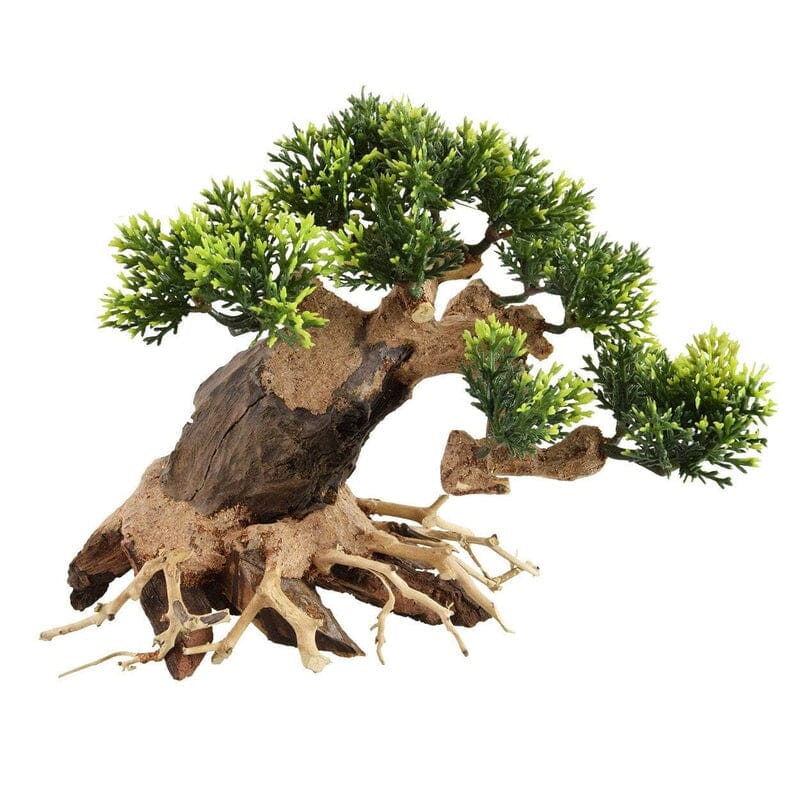 Underwater Treasures Heart Bonsai Wood - Medium