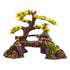 Underwater Treasures Kirin Bonsai Wood - Small - Pack of 2  