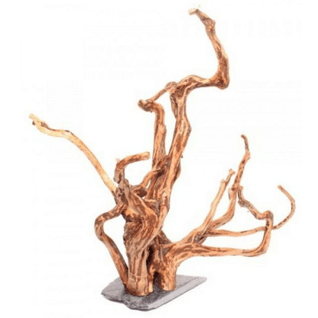 Underwater Treasures Pine Bonsai Wood - Medium - Pack of 2  