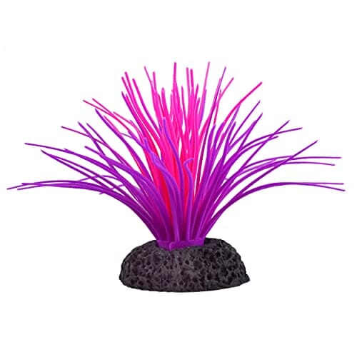 Underwater Treasures Sea Anemone - Pink/Purple  