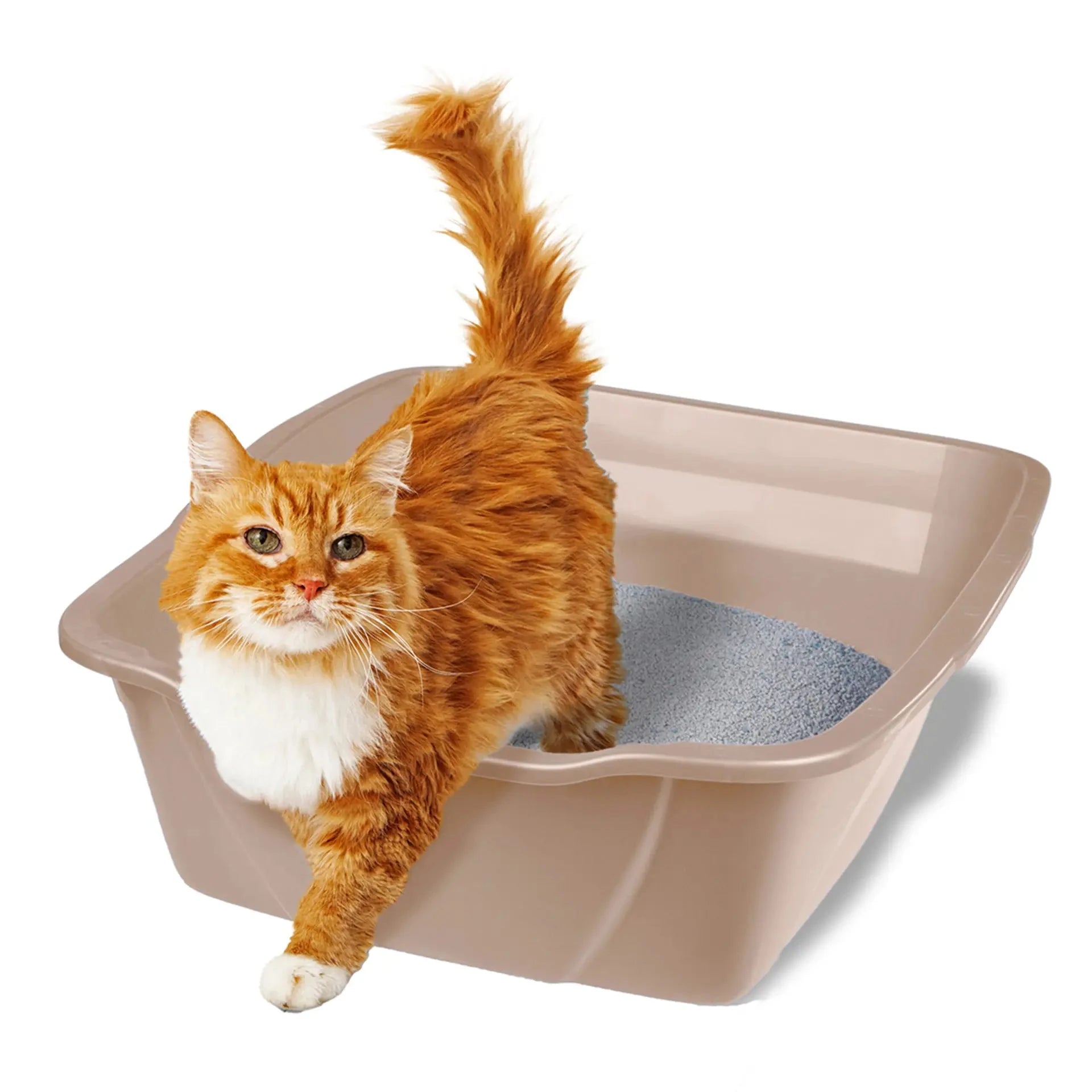 Van Ness Cat Litter Pan - Giant