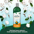 Vet's Best Natural Flea and Tick Cotton Spice Scent Plant-Based Dog Shampoo - 12 Oz