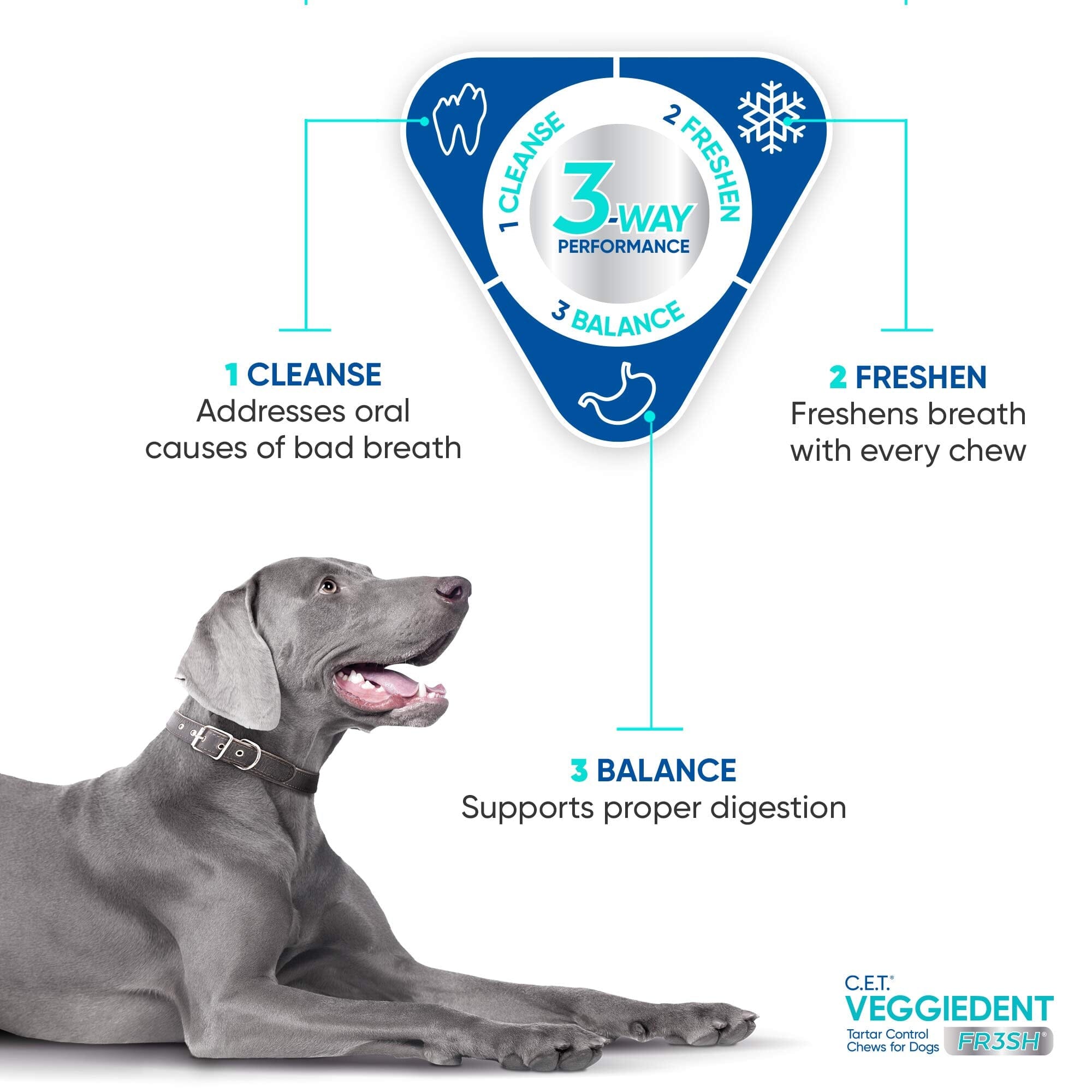 Virbac Veggiedent Fresh Technology Dental Dog Chews - 30 Count  