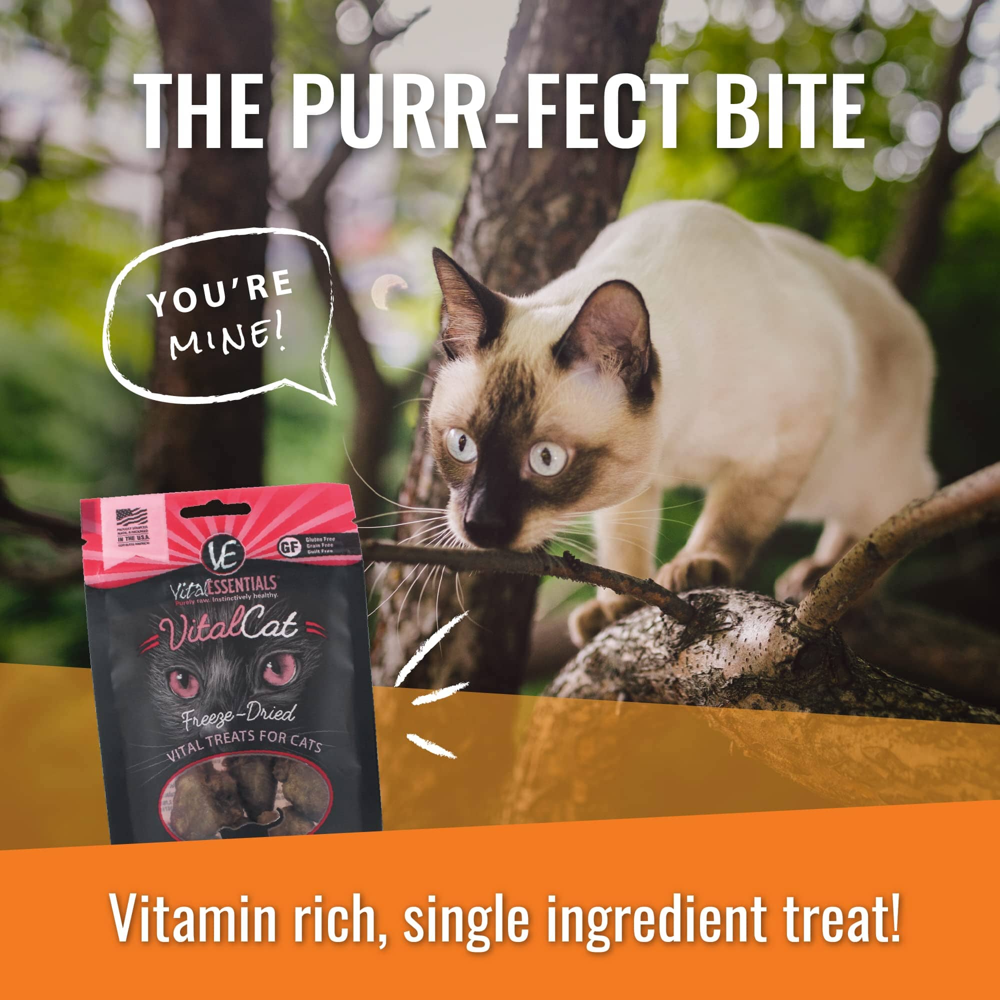 Vital Essential's Grain-Free Ahi Tuna Freeze-Dried Cat Treats - 1.1 Oz  