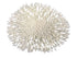Weco Products South Pacific Coral Round Tabletop Ornament - White - Large