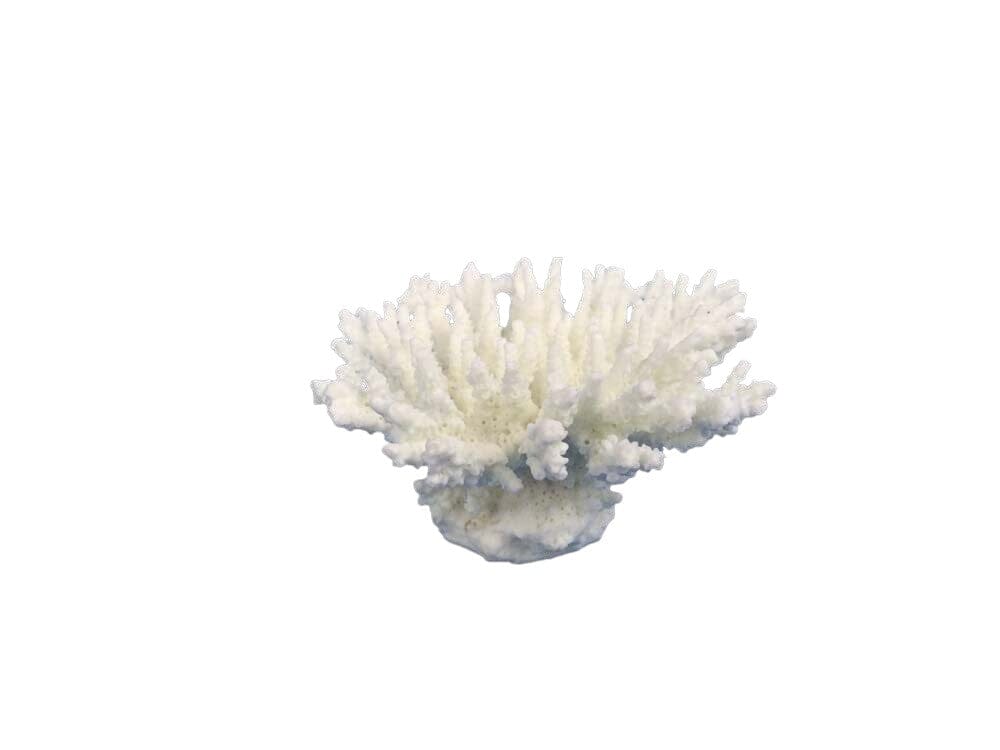 Weco Products South Pacific Coral Tabletop Ornament - White - XXS