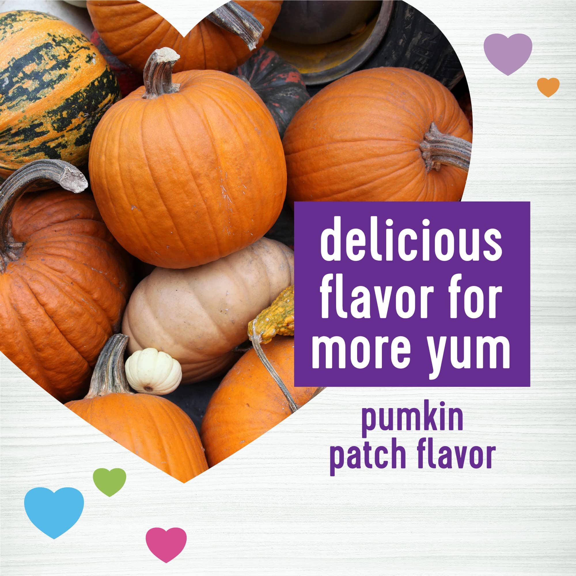 Wellness Belly Digestive Health Support Pumpkin Patch Flavor Soft Chew Dog Supplements - 45 Count  