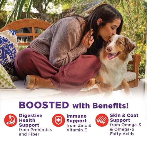 Wellness Bowl Boosters Hearty Toppers Grain-Free Beef and Green Beans in Broth Wet Dog Food Topper - 5.5 Oz - Case of 12