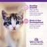Wellness Complete Health Chicken and Wholesome Grains Kitten Formula Dry Cat Food - 5 Lbs  