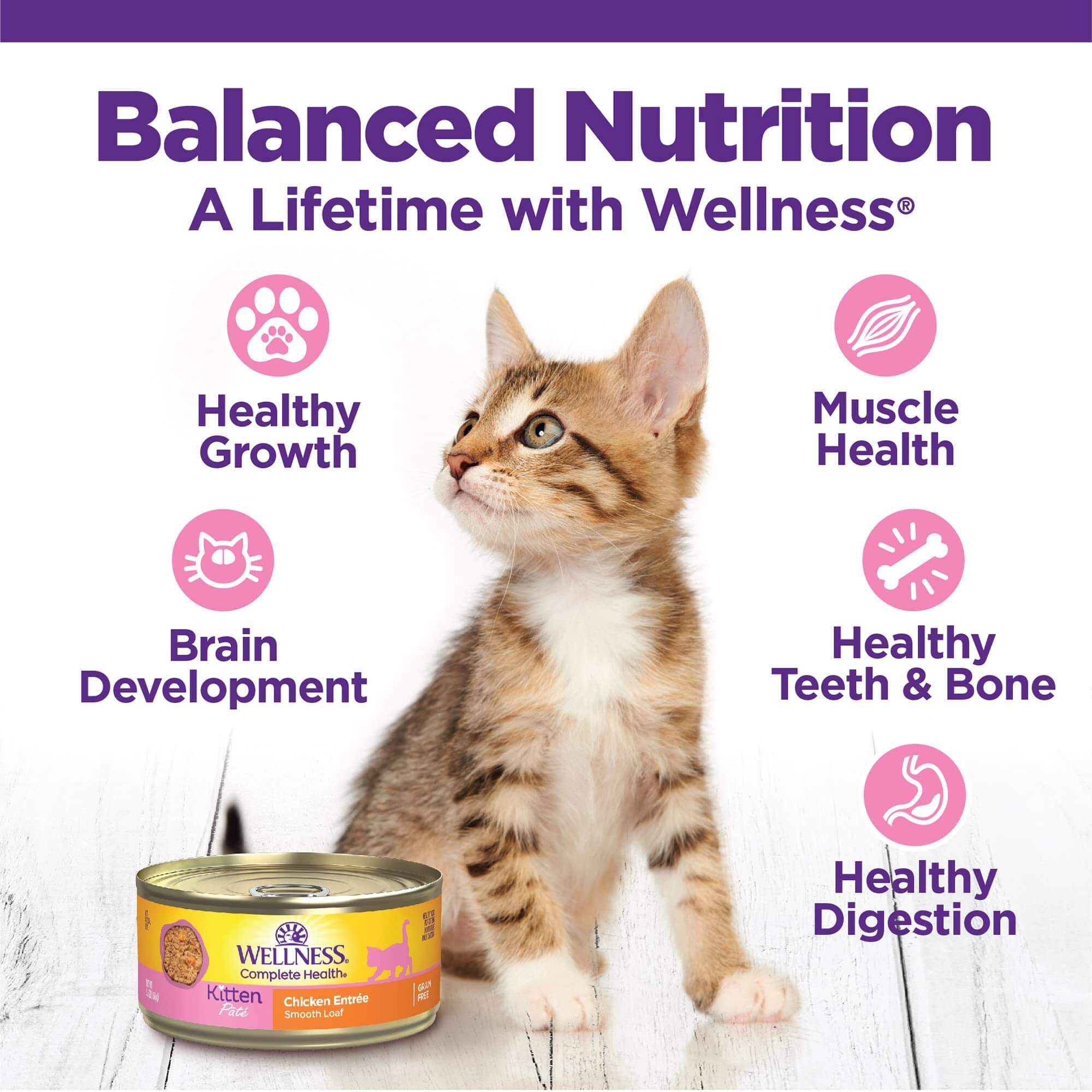 Wellness Complete Health Chicken Pate Entrée Kitten Formula Canned Cat Food - 5.5 Oz - Case of 24  