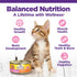 Wellness Complete Health Chicken Pate Entrée Kitten Formula Canned Cat Food - 5.5 Oz - Case of 24  
